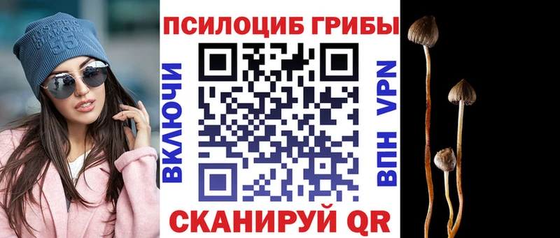 Галлюциногенные грибы GOLDEN TEACHER  закладка  Тимашёвск 